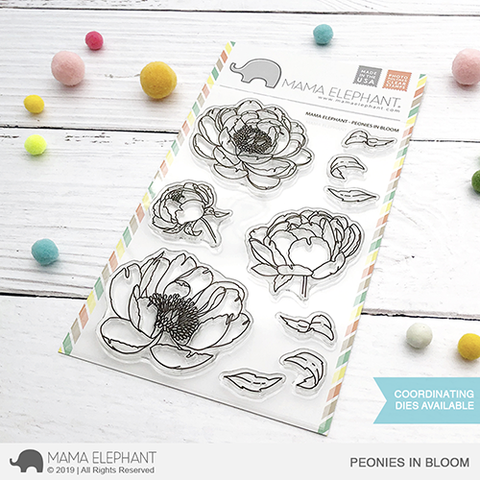 Peonies In Bloom*