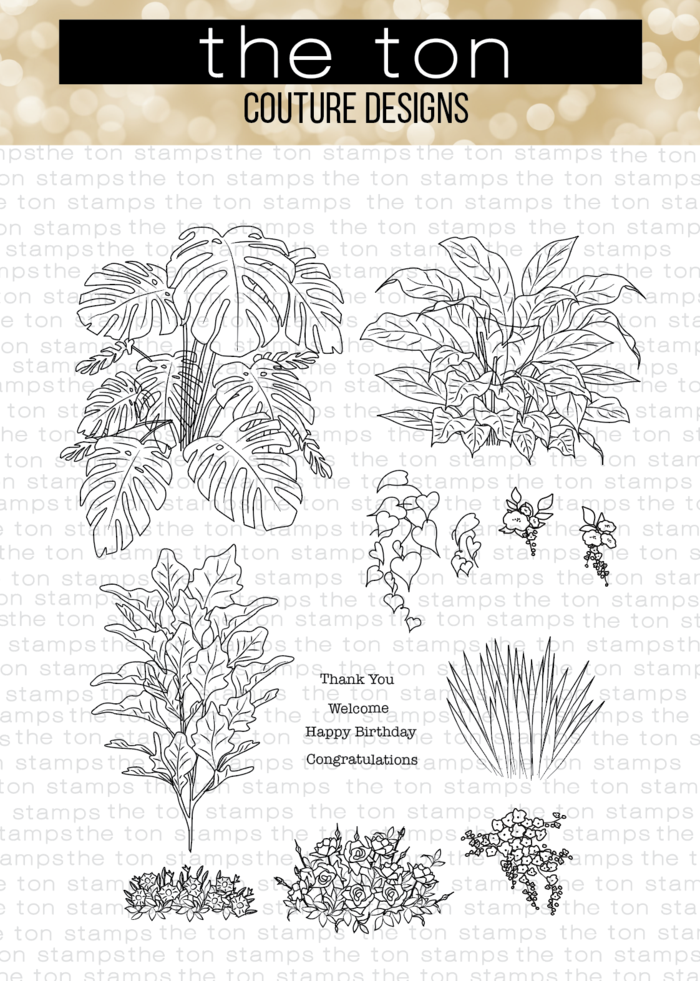 Lush Plants*