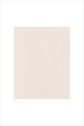 Woodgrain White Cardstock (10 Sheets)*