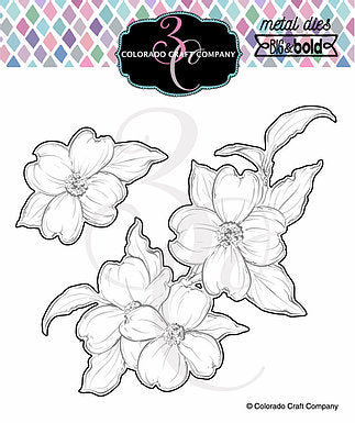 Big & Bold - Thank You Dogwood Dies*