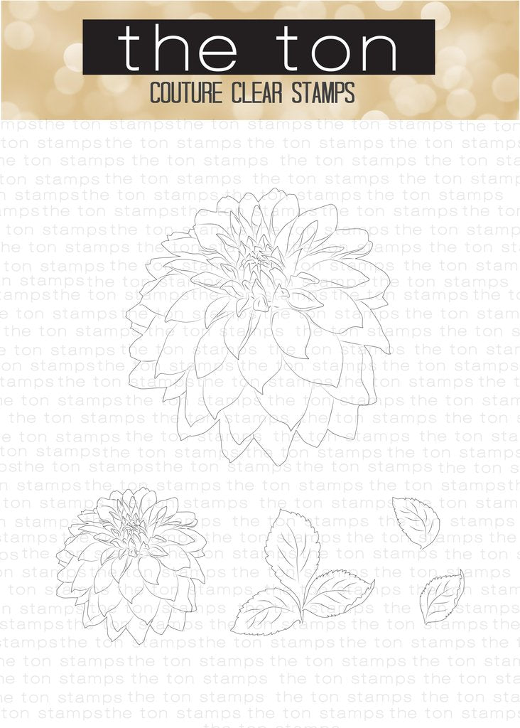 Large Dahlia 2*