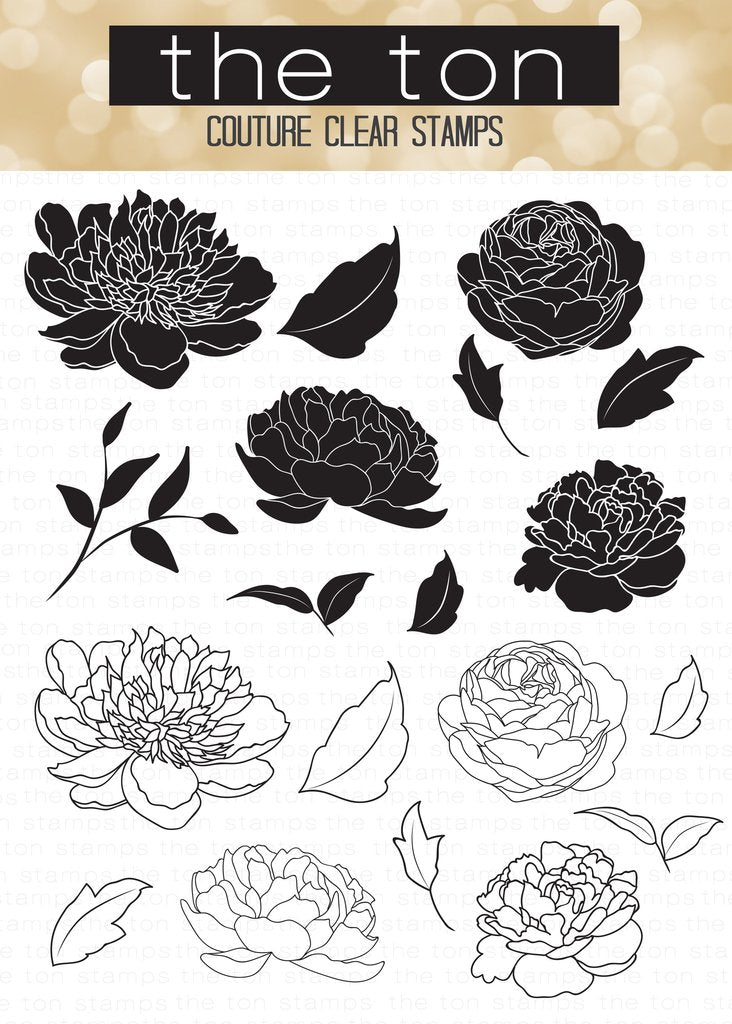 Wild Peonies*