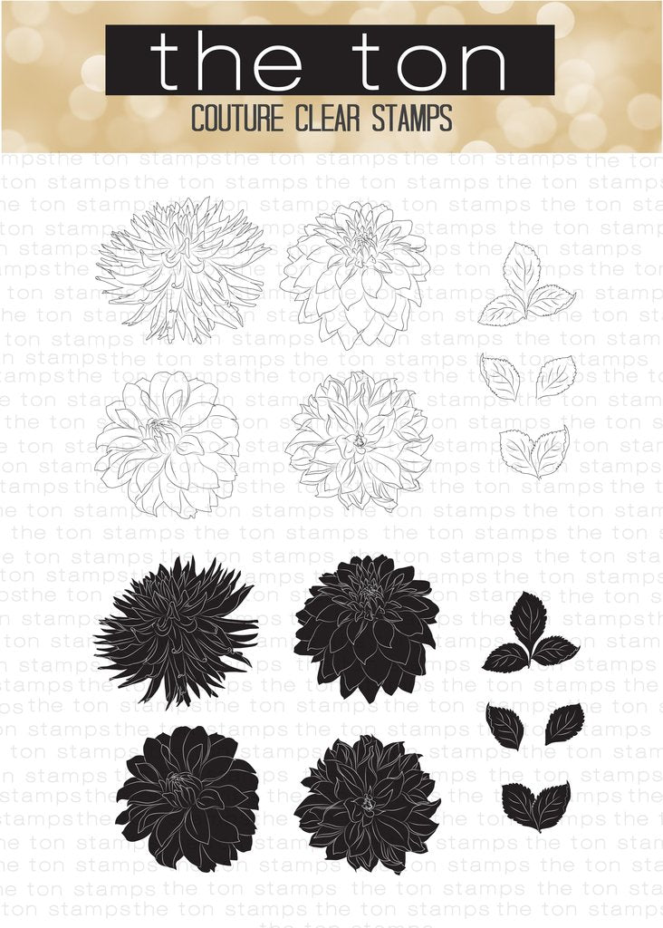 Wild Dahlias*