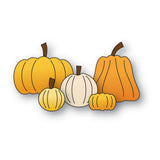 Pumpkin Patch