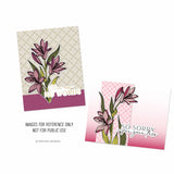 Written Words 2 Stamp Set (4 x 6)