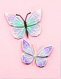 Gypsy Butterflies