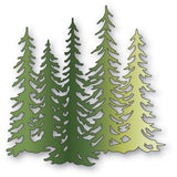 Evergreen Tree Stand
