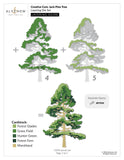 Creative Cuts: Jack Pine Tree Layering Die Set