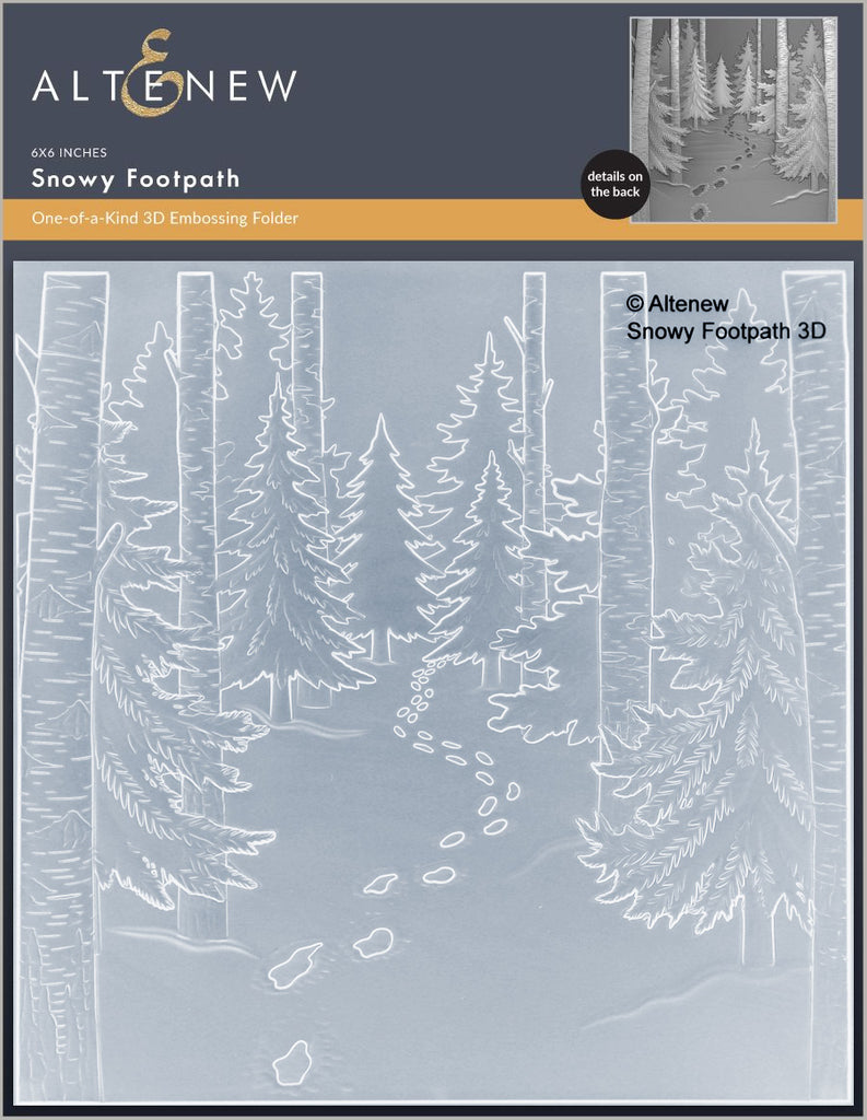 Snowy Footpath 3D Embossing Folder