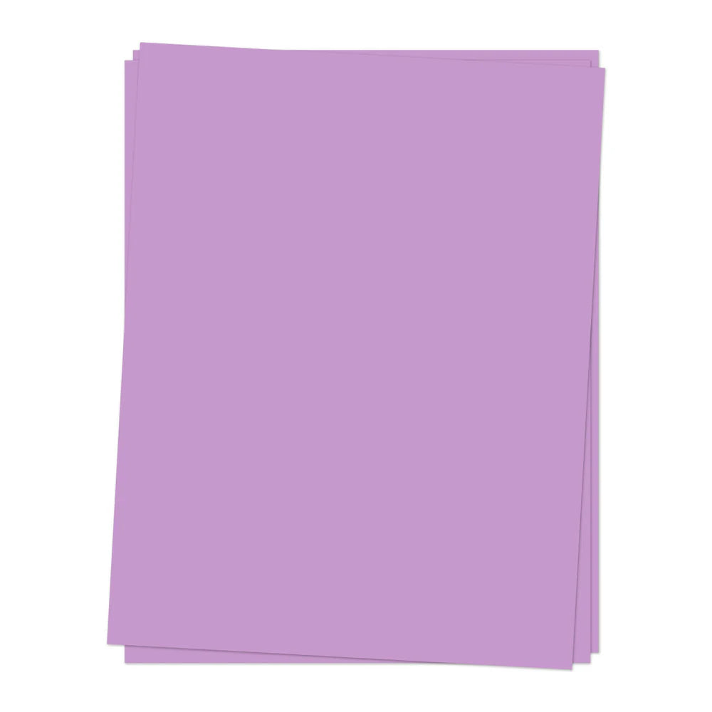 Cardstock: Aster
