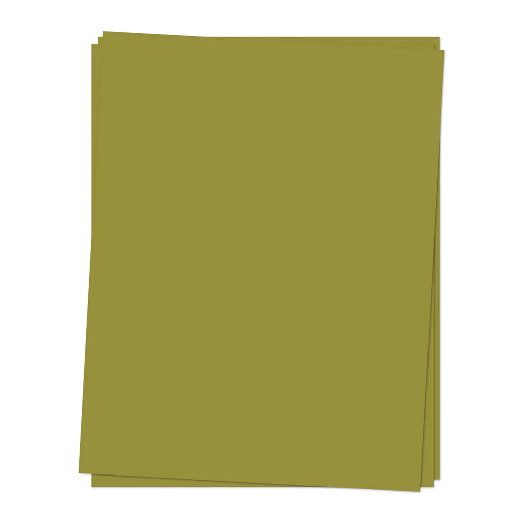 CARDSTOCK: Grasshopper