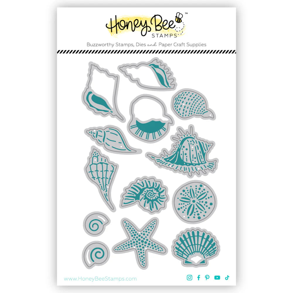 Lovely Layers: Small Seashells Honey Cuts