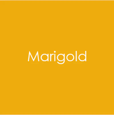 Heavy Base Weight Card Stock Marigold 10pk