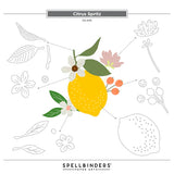 Citrus Spritz Etched Dies from the La Dolce Vita Collection