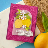 La Dolce Vita Sentiments BetterPress Plate & Die Set from the La Dolce Vita Collection