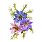 Love-in-a-Mist Etched Dies by Susan Tierney-Cockburn