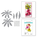 Echinacea (Coneflower) Etched Dies from the Summer Solstice Garden Collection by Susan Tierney-Cockburn