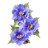 Clematis Poet Etched Dies by Susan Tierney-Cockburn