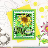     Sketched Aster Stamp Set