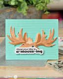 A-Moose-ing Sentiments Combo