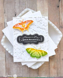 Butterfly Trio Stamp Set