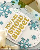 Snowcapped Pinecone Details Stamp Set