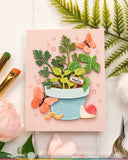 Pots and Plants Die