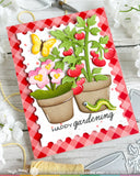 Pots and Plants Die