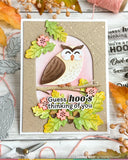 Real Hoot Sentiments Combo