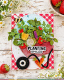Pots and Plants Die