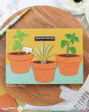 Pots and Plants Die