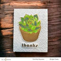 Spark Joy: Potted Succulent & Add-on Die Bundle