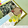 Rainforest Leaves Bundle