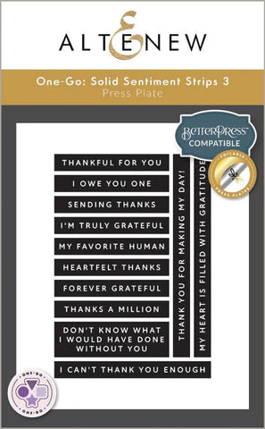 One-Go: Soild Sentiment Strips 3 Press Plates/ Foil Plates (Gratitude Edition)