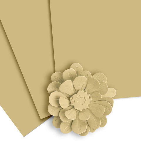 Crafty Necessities: Marshland Cardstock (10 sheets/set)