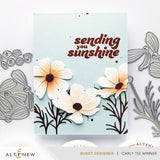 Craft-A-Flower: Garden Cosmos Layering Die Set