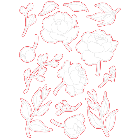 Spring Peony Honey Cuts