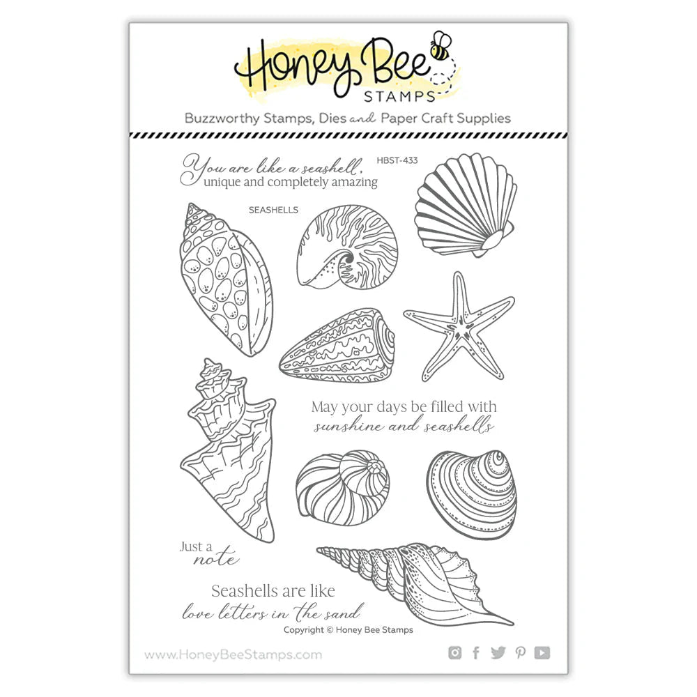 Seashells | 6x8 Stamp Set