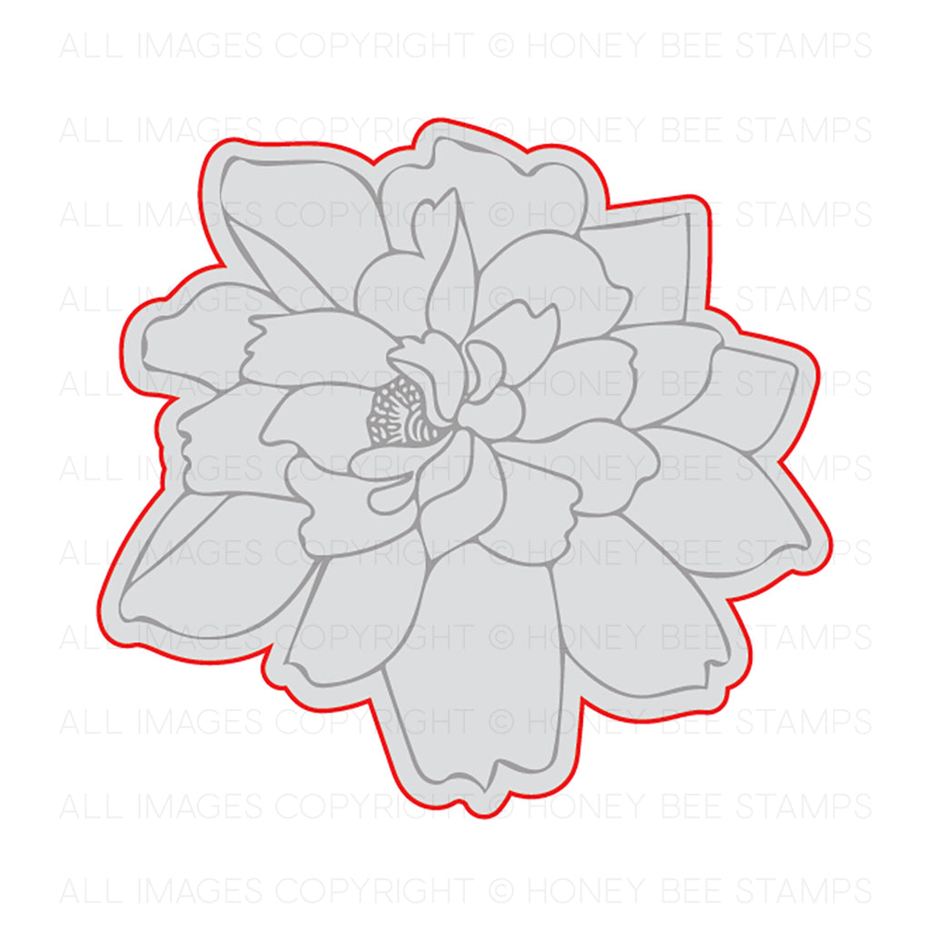Lotus Blossom Honey Cuts