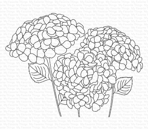 Hydrangeas in Bloom*