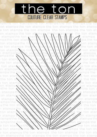 Palm Close Up*