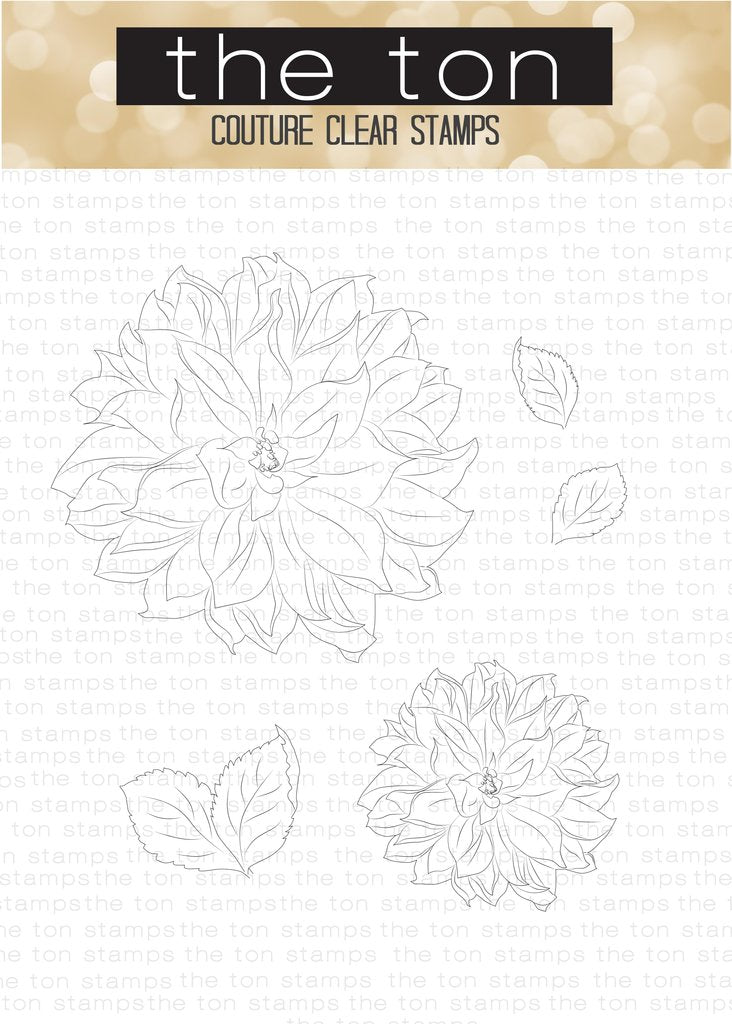 Large Dahlia 1*