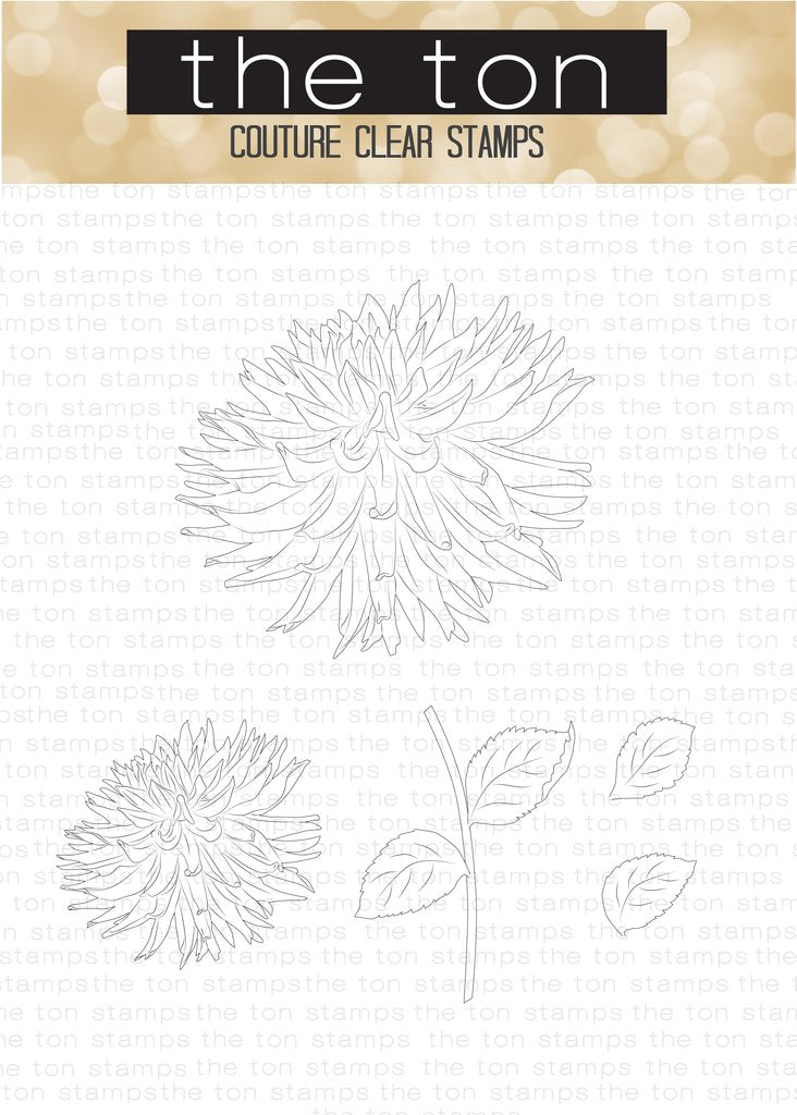 Large Dahlia 3*